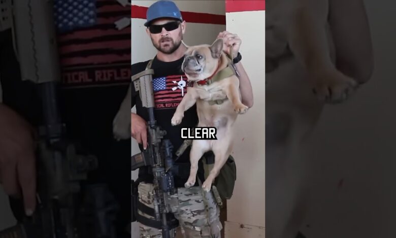 NAVY SEAL ROOM CLEARING #military #shortsvideo #shorts #navyseal #training #youtubeshorts #dog