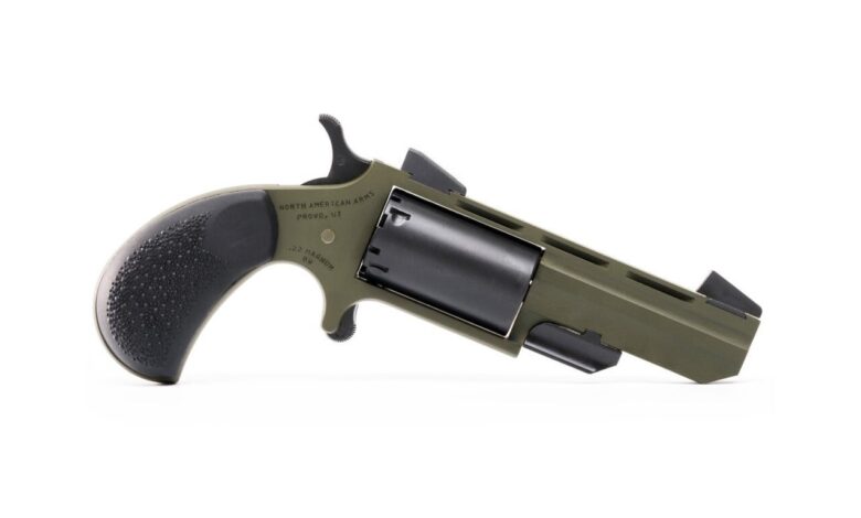 Wheelgun Wednesday: NAA “The Green Huntsman” .22 Magnum