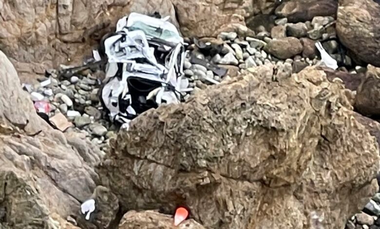 Radiologist who drove family off a cliff was having a psychotic break, doctors say