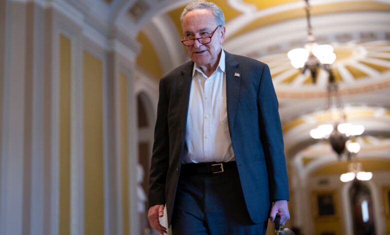 Police arrest 100 pro-Gaza protesters a block from Senate leader Chuck Schumer’s home