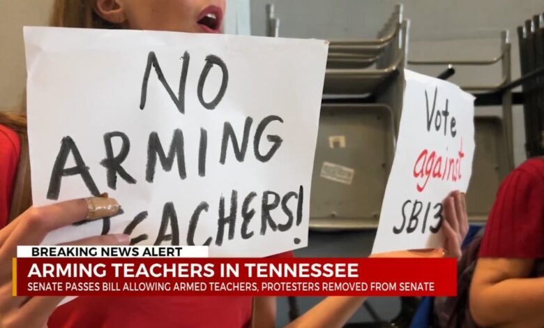 Angry protests as Tennessee Republicans pass law allowing teachers to carry concealed weapons