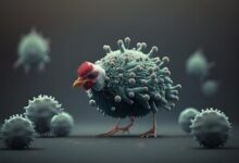 H5N1 Bird Flu Is “Mutating” Fast