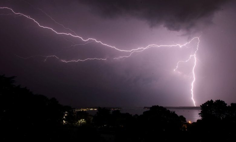 Rancher and more than 30 cows killed in Colorado lightning strike