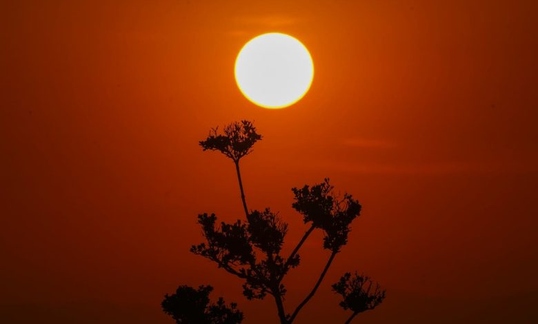 Mexico’s deadly heat dome is coming for the US