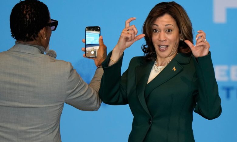 Could Kamala Harris be the key to locking up swing state votes for Joe Biden?