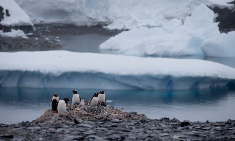 Chile officials meet in Antarctica amid fears over Russia’s manoeuvres in region