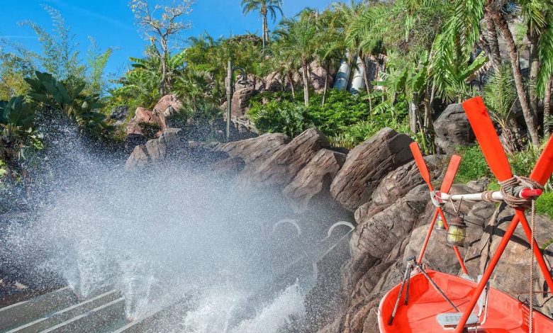 Family sues Disney for K after man finds fiancee unconscious at the end of Humunga Kowabunga water slide