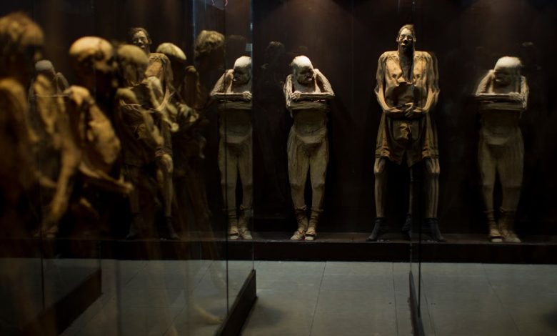 Bungling Guanajuato museum staff in Mexico accused of mishandling mummies after arm falls off