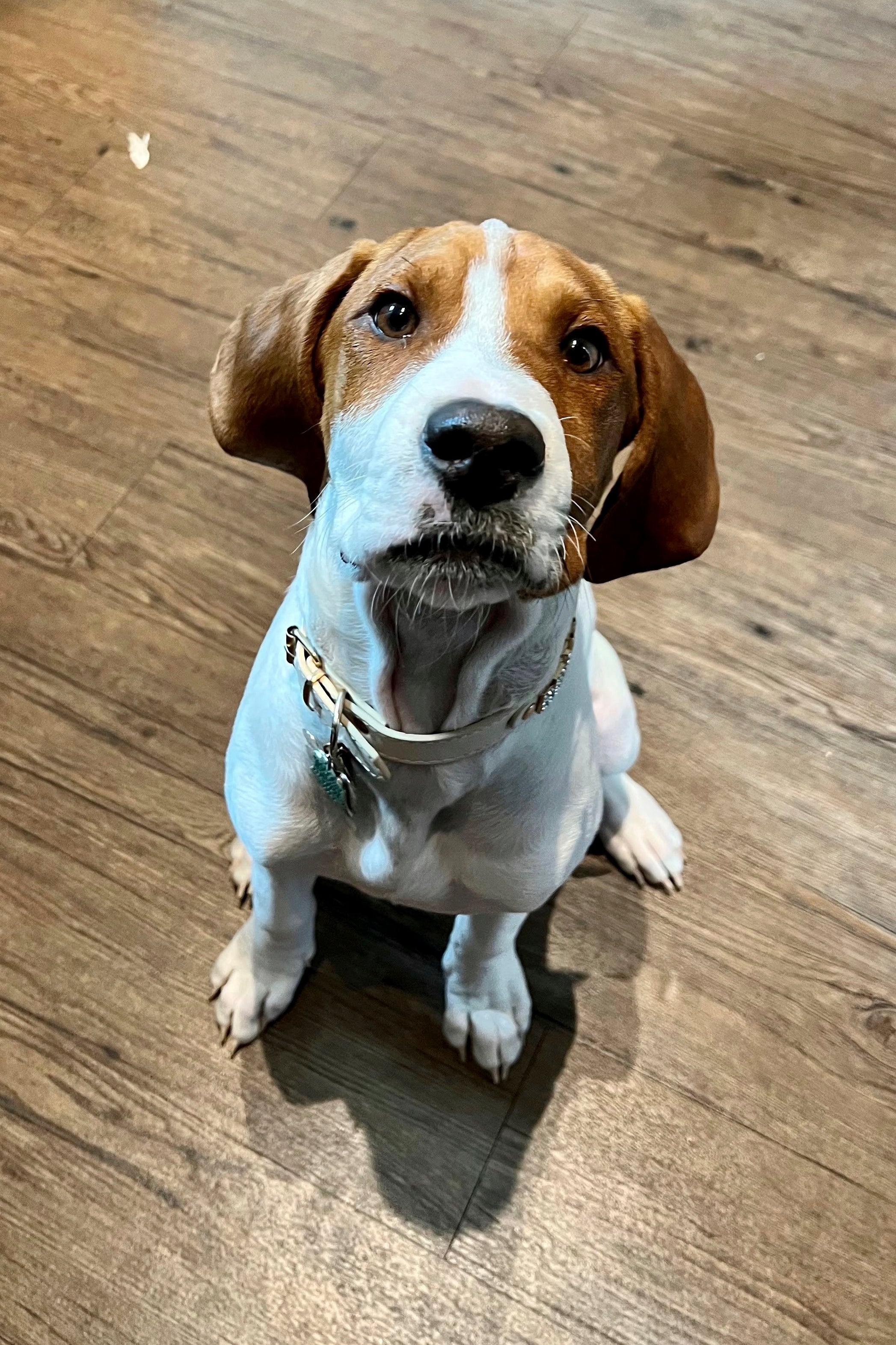 Beau pose for a photo in Laurel, Md., in January 2023