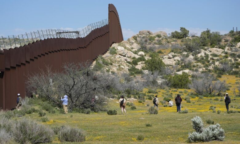 Botanists are trying to save a forgotten ecosystem split by Trump’s giant wall