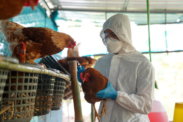 4 Egg Farm Workers Tested Positive For Bird Flu In California