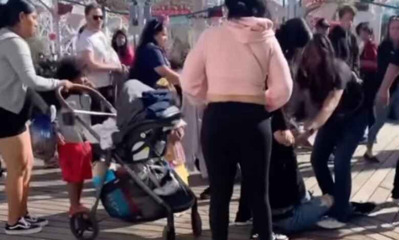 Wild fight breaks out between group of moms with strollers at Disneyland