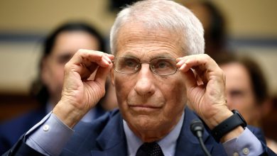 Anthony Fauci hospitalized after testing positive for West Nile Virus