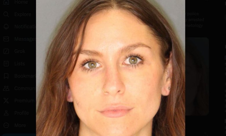 Former NY Cop turned model Ally Thueson arrested in extortion plot targeting cosmetology small business