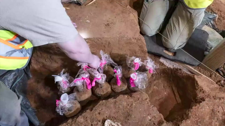 Archaeologists make spectacular discovery in George Washington’s home | News