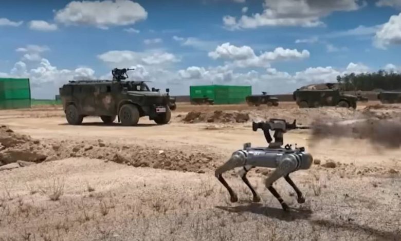 Chinese military’s rifle-toting robot dogs raise concerns in Congress