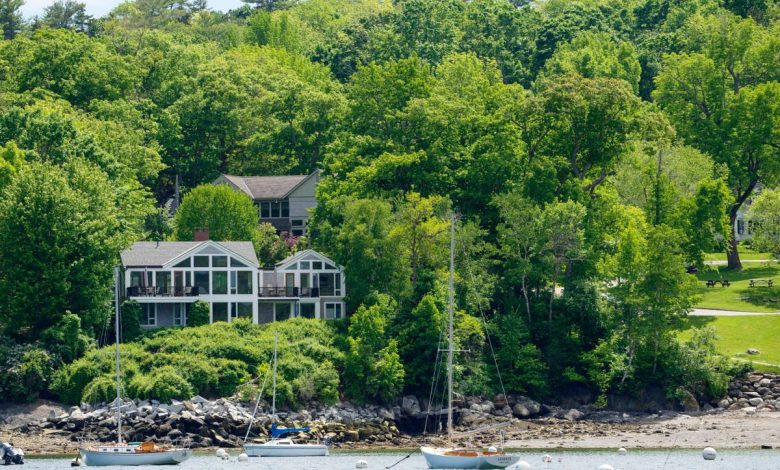 A wealthy couple is accused of killing trees to score the ultimate ocean view. Now they’re paying for it