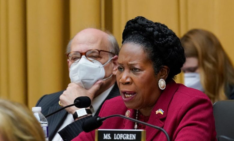 Democratic Rep Sheila Jackson Lee reveals cancer diagnosis