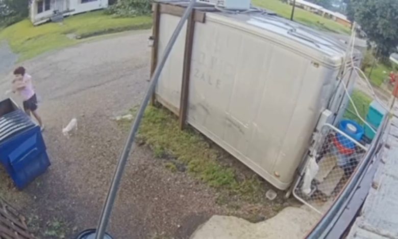 Two people are arrested after horror video shows woman throwing puppies in dumpster