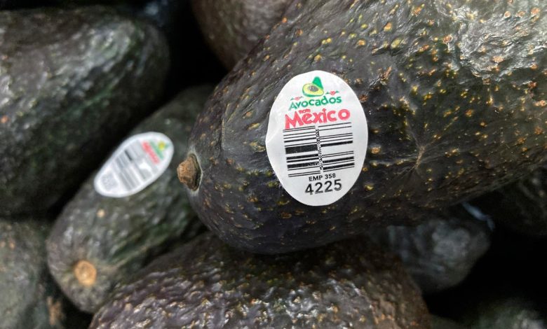 Two US inspectors are attacked in Mexico while checking fresh shipment of avocados