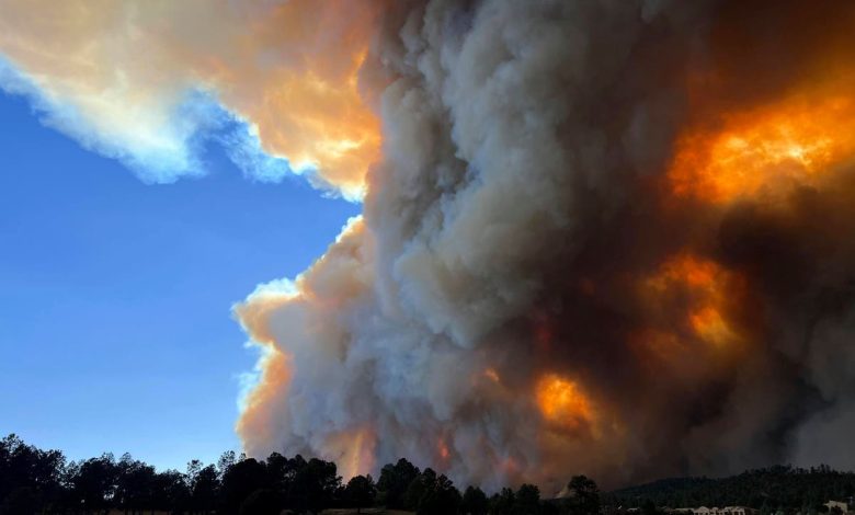 Escape from killer New Mexico wildfire was ‘absolute sheer terror,’ says woman who fled the flames