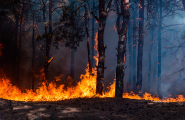 Northern Israel Was On Fire As War With Hamas Ramps Up