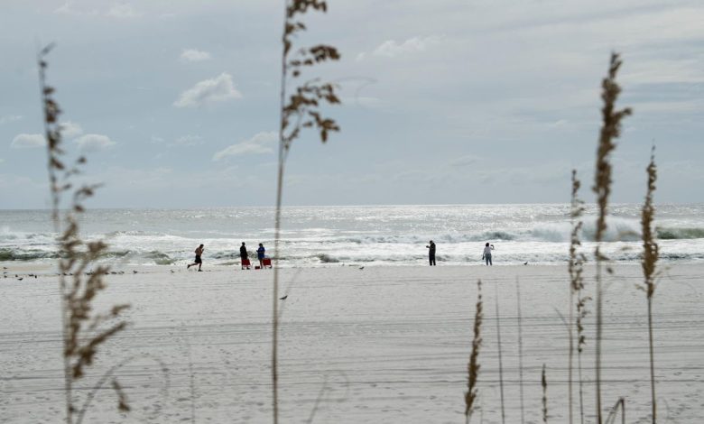 Rip currents in Panama City, Florida claim four lives in 48 hours