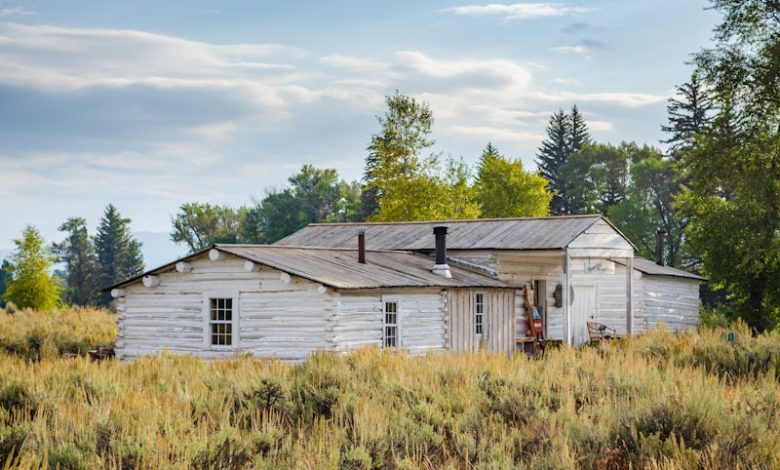 Should You Consider Homesteading?