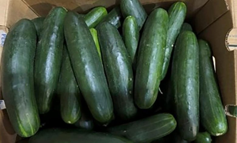 Health officials reveal cause of cucumber-related illnesses across America