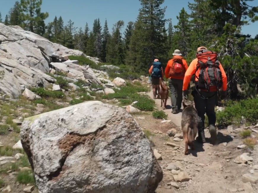 Officials used dogs to try and track down the missing hikers