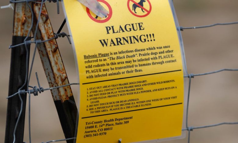 Colorado public health officials confirm new case of human plague