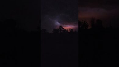 Apocalypse in my backyard last night… 🌩🔥 will it look like this? #lightning #torch #shorts #storm