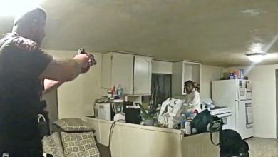 Bodycam Footage of Deputy Shooting Sonya Massey in Springfield, Illinois