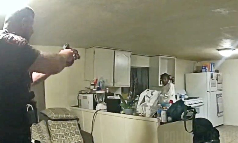 Bodycam Footage of Deputy Shooting Sonya Massey in Springfield, Illinois