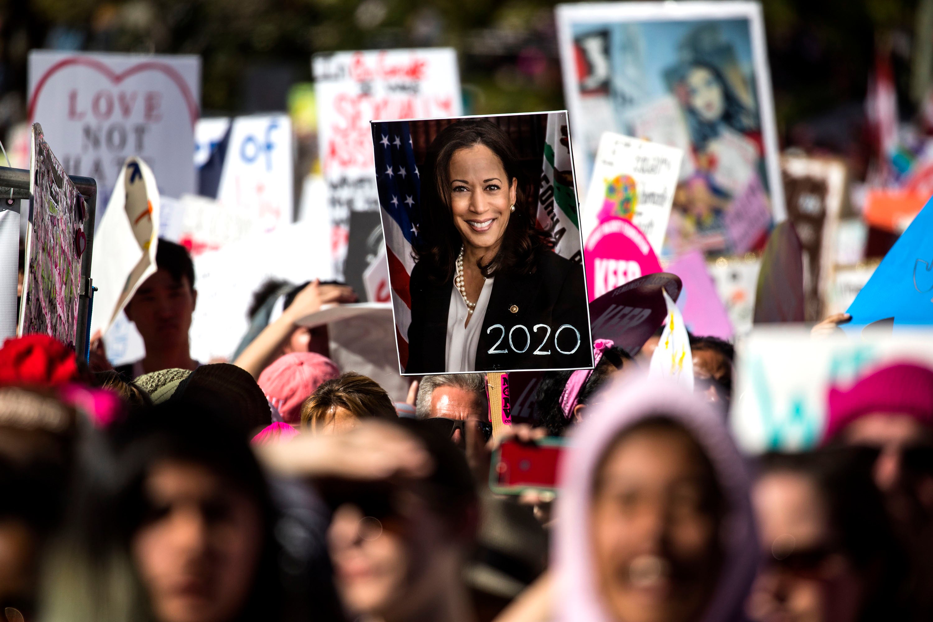 The annual Women's March in Los Angeles, 2019