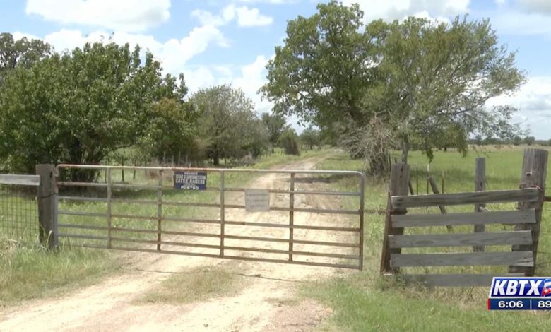 Texas man, 75, dies after being stung by dozens of bees while bulldozing trees on his property