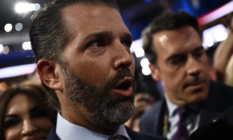 Don Jr gets into testy exchange with MSNBC reporter at RNC: ‘Just get out of here’