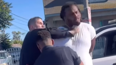 Shocking moment LAPD cop punches a man in the face while his hands are cuffed