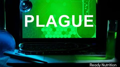 One Person In Colorado Infected With Bubonic Plague