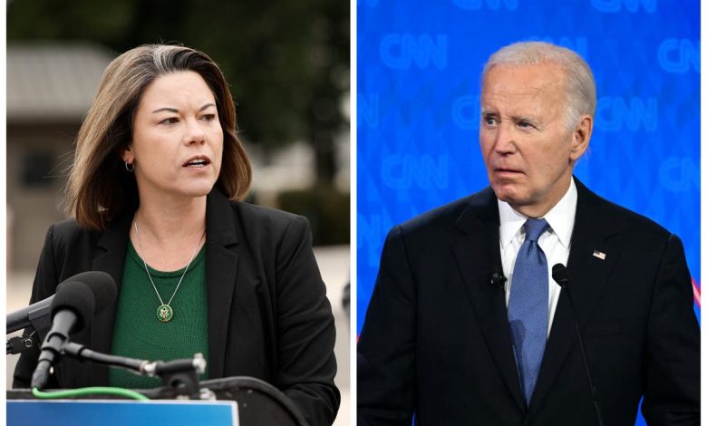 Another House Democrat calls for Biden to ‘step aside’ from 2024 race