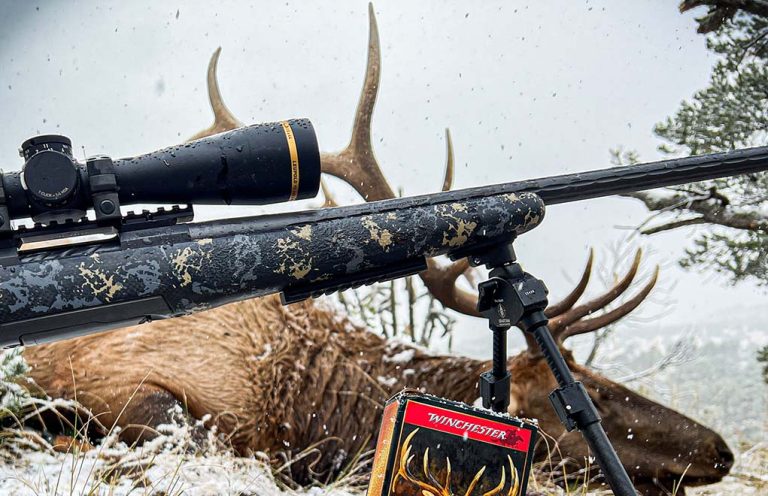 Are Deer Rifles Suitable For Elk Hunting?