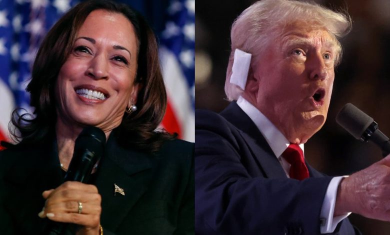 Trump takes a big lead over Harris in betting odds for November