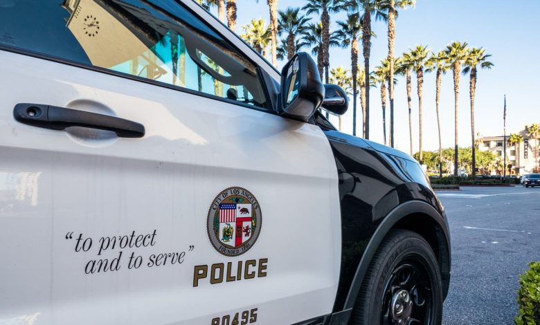 LA police arrest naked man covered in blood moments after ‘he stabbed his parents, killing his mother’