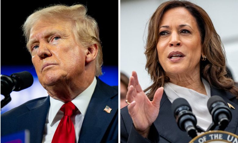 Trump says world leaders will walk all over Harris because of ‘how she looks’ in latest misogynist rant