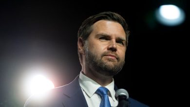 JD Vance ‘reeks of inauthenticity,’ Republican strategist says