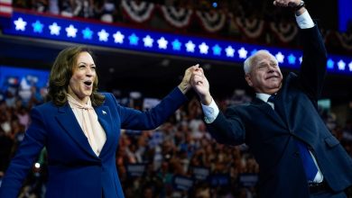 It’s a vibes election – and Harris has picked the perfect running mate for the job