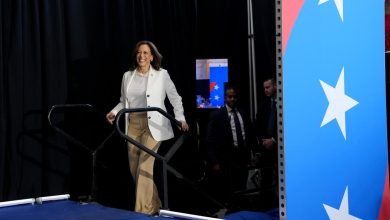 ‘Joyful warrior’ Kamala Harris slams protesters disrupting Detroit rally: ‘If you want Donald Trump to win, then say that’