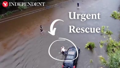 Driver swept away in floods after Hurricane Debby rescued | News