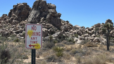 German tourists shoot paintballs all over Joshua Tree national park