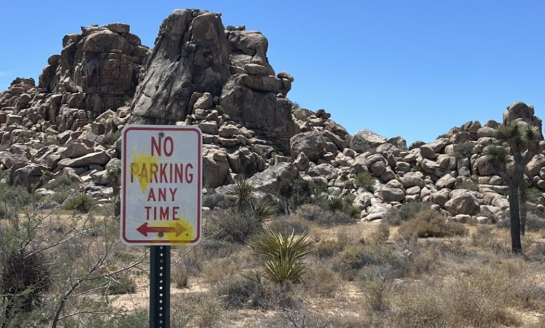 German tourists shoot paintballs all over Joshua Tree national park